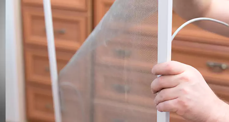 Privacy Mesh Screen Door Installation in Cupertino, CA